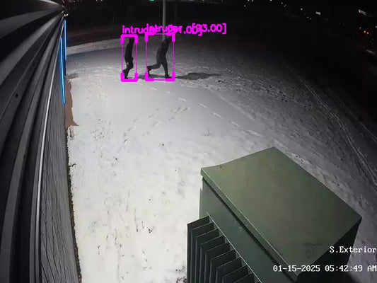 Live Video Monitoring – AI Motion Detection